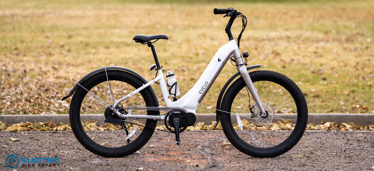 Evelo Omega Review 2024